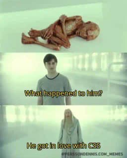 In love with css meme