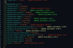 Package Json Upgrade VS Code extension