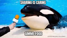 Sharing is caring